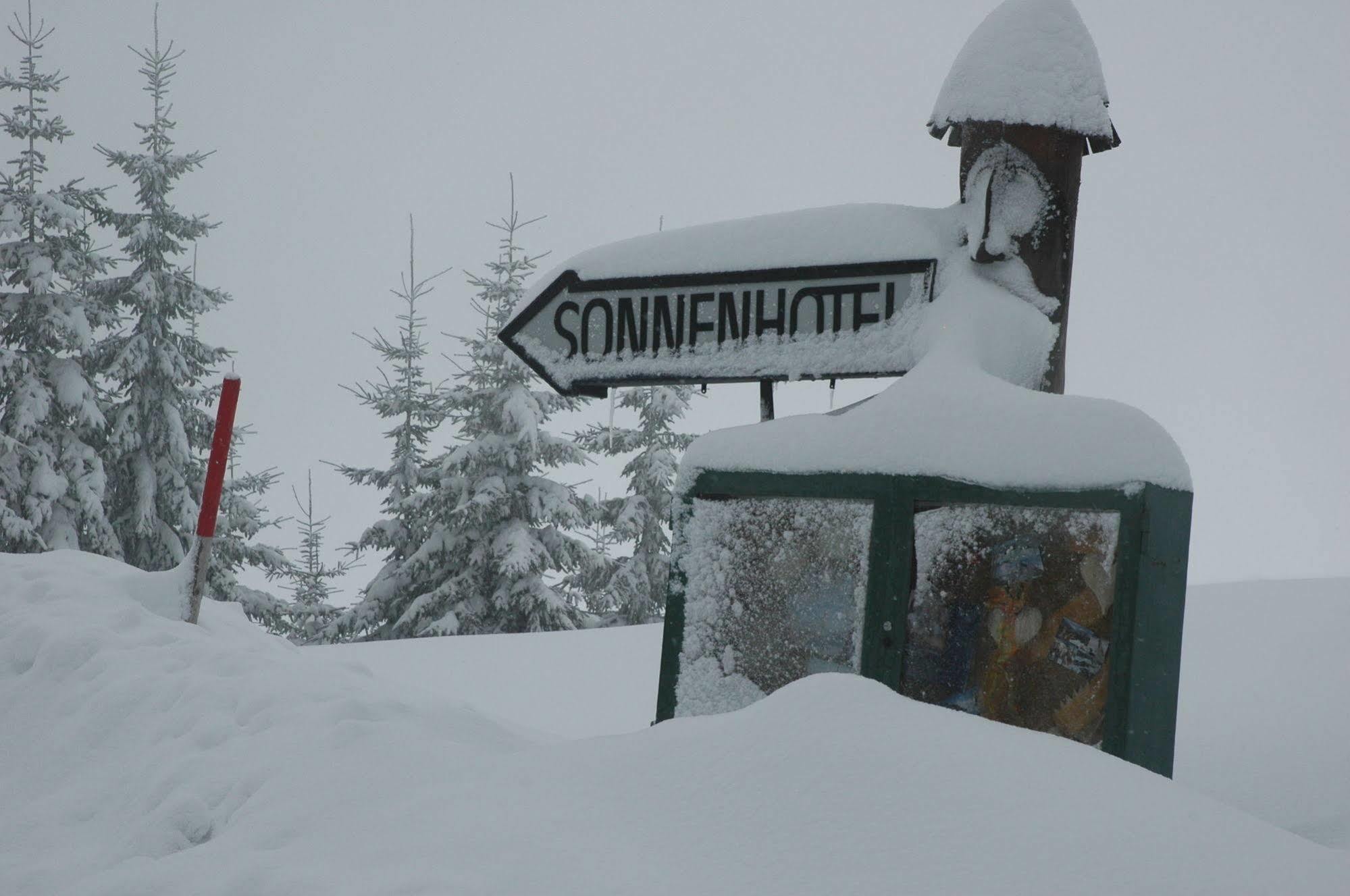 Sonnenhotel Zaubek トレフェン エクステリア 写真